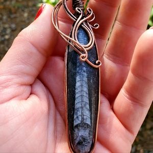 New Oversized Orthoceras Fossil Wire Wrapped Pendant.